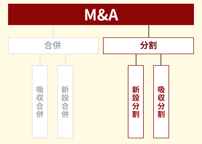 M&Aの手法「分割」